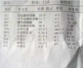 胆红霉素高是怎么回事