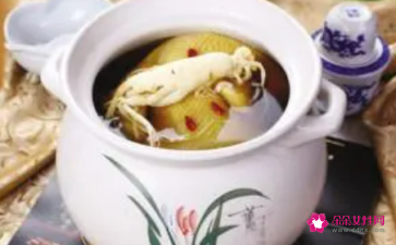孕妇鸽子汤禁忌