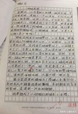 喜欢上什么课300字作文怎么写