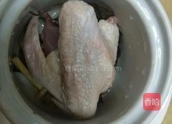 炖鸽子汤的做法