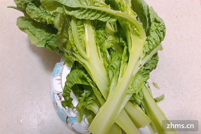 孕妇可以吃油麦菜