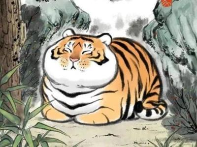 属虎今年犯太岁