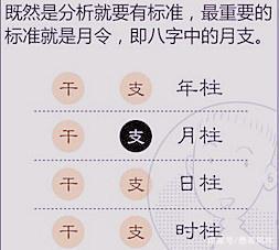 四柱八字分析