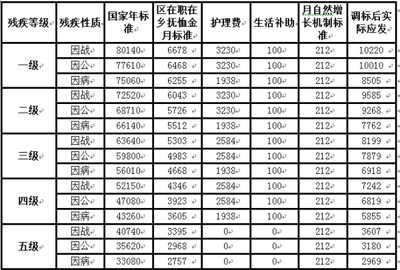 九级伤残标准