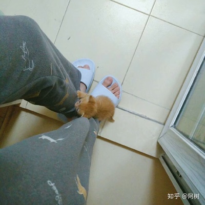 坐着脚麻是怎么回事