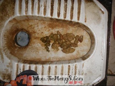 梦见自己要大便