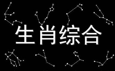 生肖对冲是什么意思
