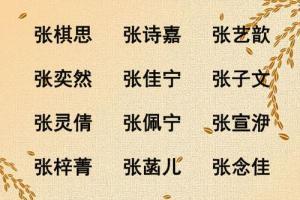 张姓女孩子名字