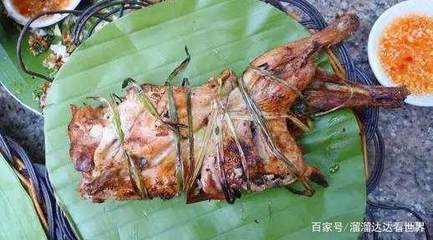 凤凰竹能吃吗?熊猫吃竹子不会划伤嘴巴吗?