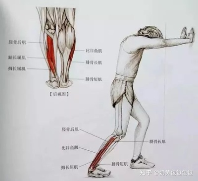 网球炎怎么治疗