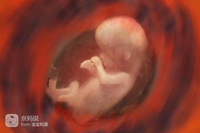 胎儿偏小吃什么长胎