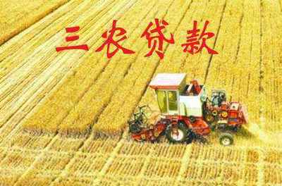 农村农业贷款