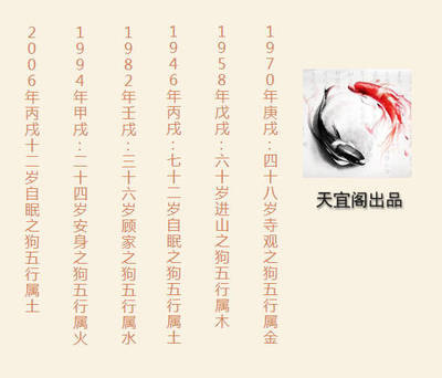 2017年五行属什么