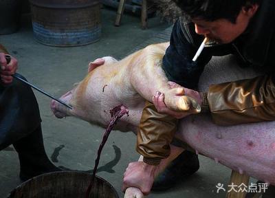 杀猪犯法吗