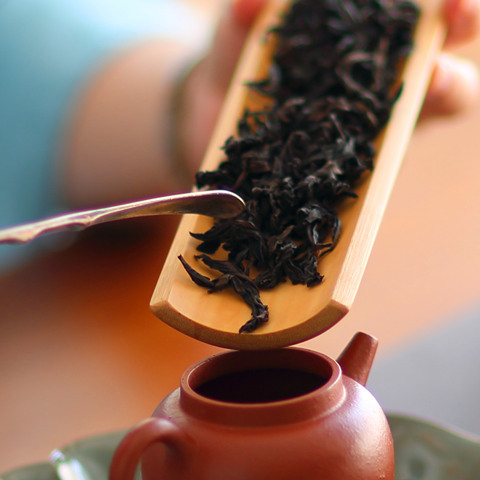 水帘洞肉桂茶叶价格