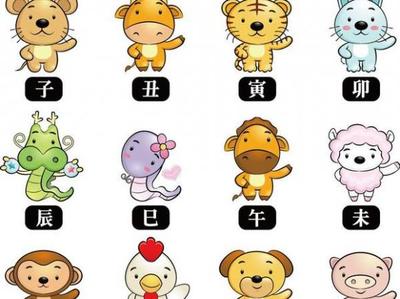 生肖能决定命运吗