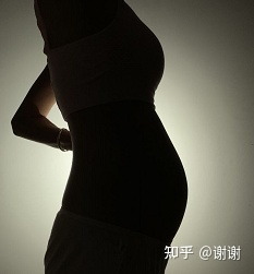 怀孕多久才显怀