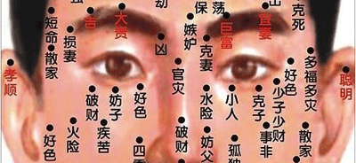 腿痣的位置与命运图解