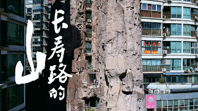 上海长寿路假山