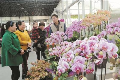 常州花卉批发市场在哪里