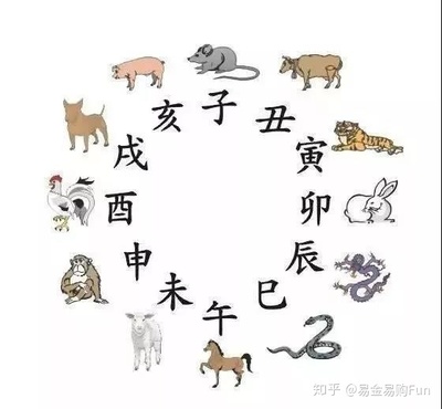 什么生肖属水