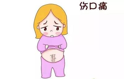 乳汁会分泌多少药物