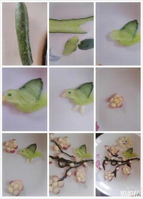 种了黄瓜被鸟吃怎么办