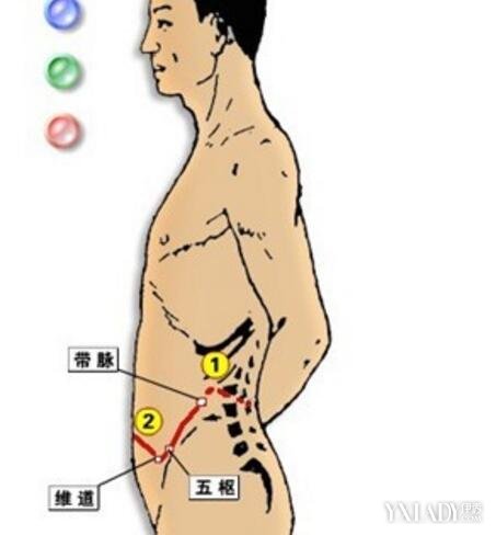 敲带脉减肥