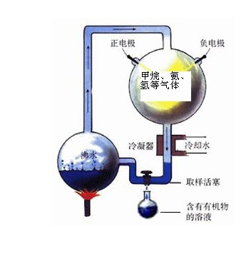 玻璃是不是有机物
