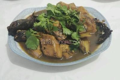 鲶鱼焖豆腐的做法大全家常
