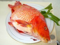 红鲤鱼做法大全家常