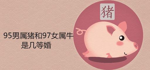 属猪女和属牛男的婚姻怎么样