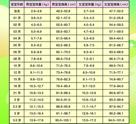 2岁半孩子头围多少