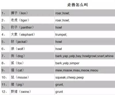 野兽英语单词是什么
