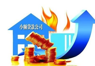 小额信用贷款公司