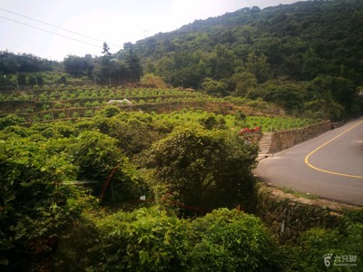 大罗山开车上山路线