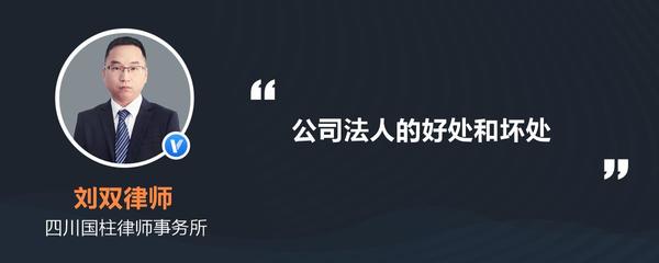 当公司法人好处和坏处