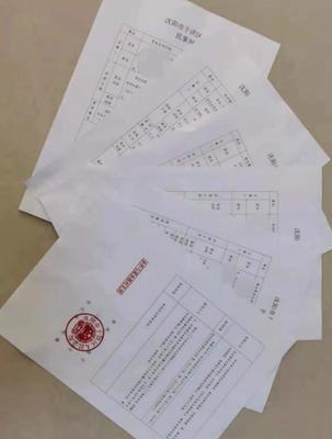 民事案件二审开庭后多久下判决书