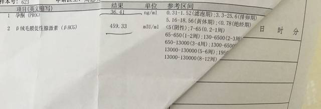 排卵期英文