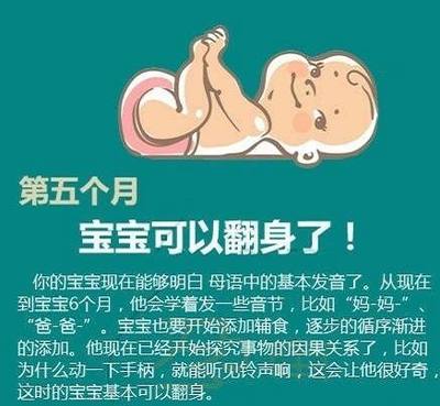 怀孕五个月宝宝发育标准