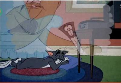 做梦梦见猫和老鼠