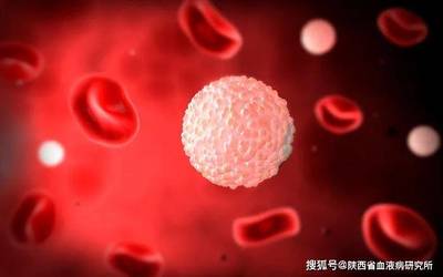 白血球减少是怎么回事