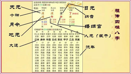 八字日元是什么意思