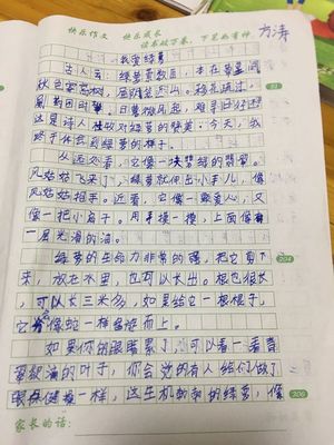 今天我很愉快的作文400字作文怎么写