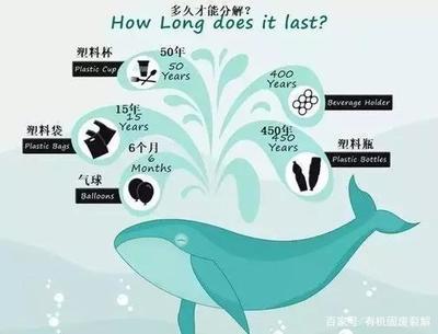 塑料降解需要多久