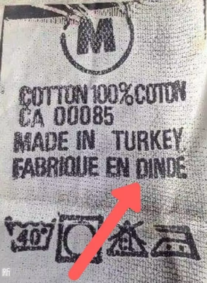 Cotton翻译中文