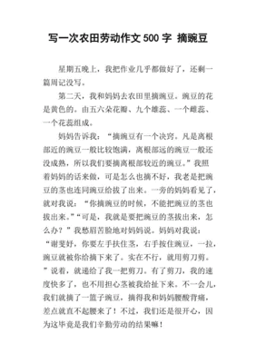 记一次小发现的开头怎么写