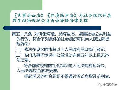 民事诉讼法第58条