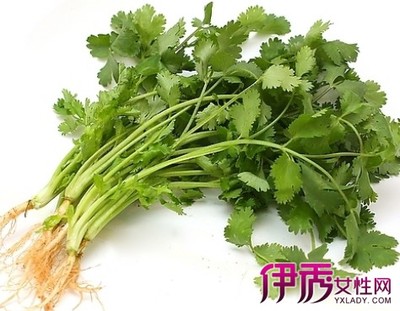 坐月子能吃香菜