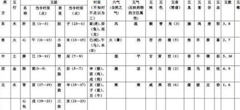 已亥五行属什么